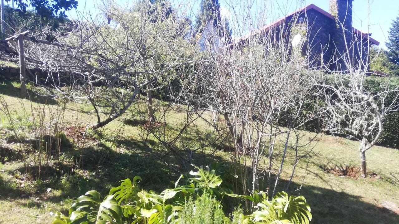 Chalet Pico Das Pedras サンタナ エクステリア 写真