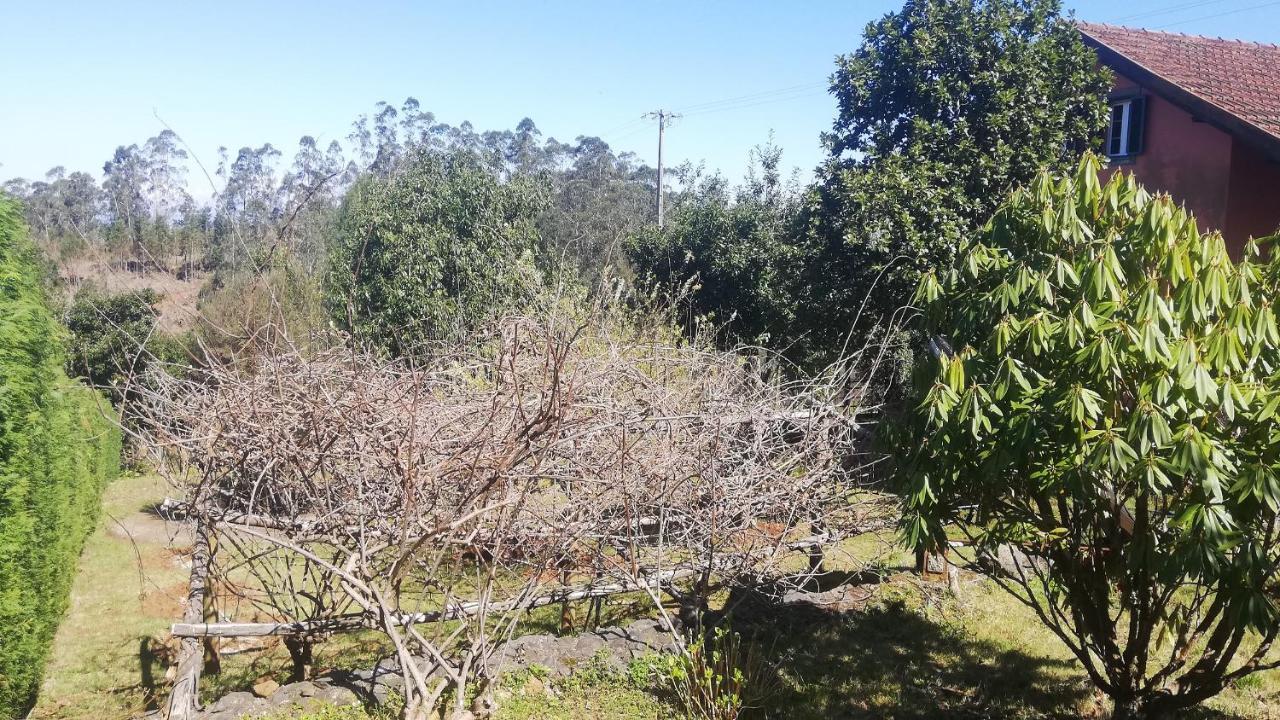 Chalet Pico Das Pedras サンタナ エクステリア 写真