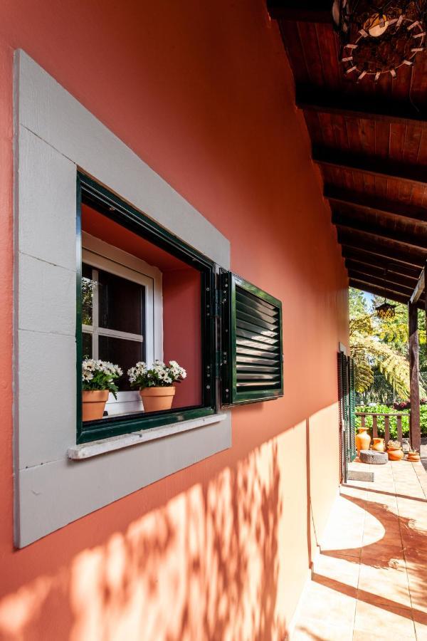 Chalet Pico Das Pedras サンタナ エクステリア 写真