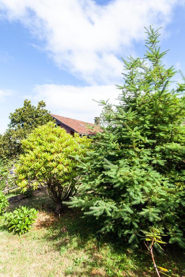 Chalet Pico Das Pedras サンタナ エクステリア 写真