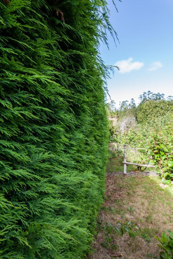 Chalet Pico Das Pedras サンタナ エクステリア 写真