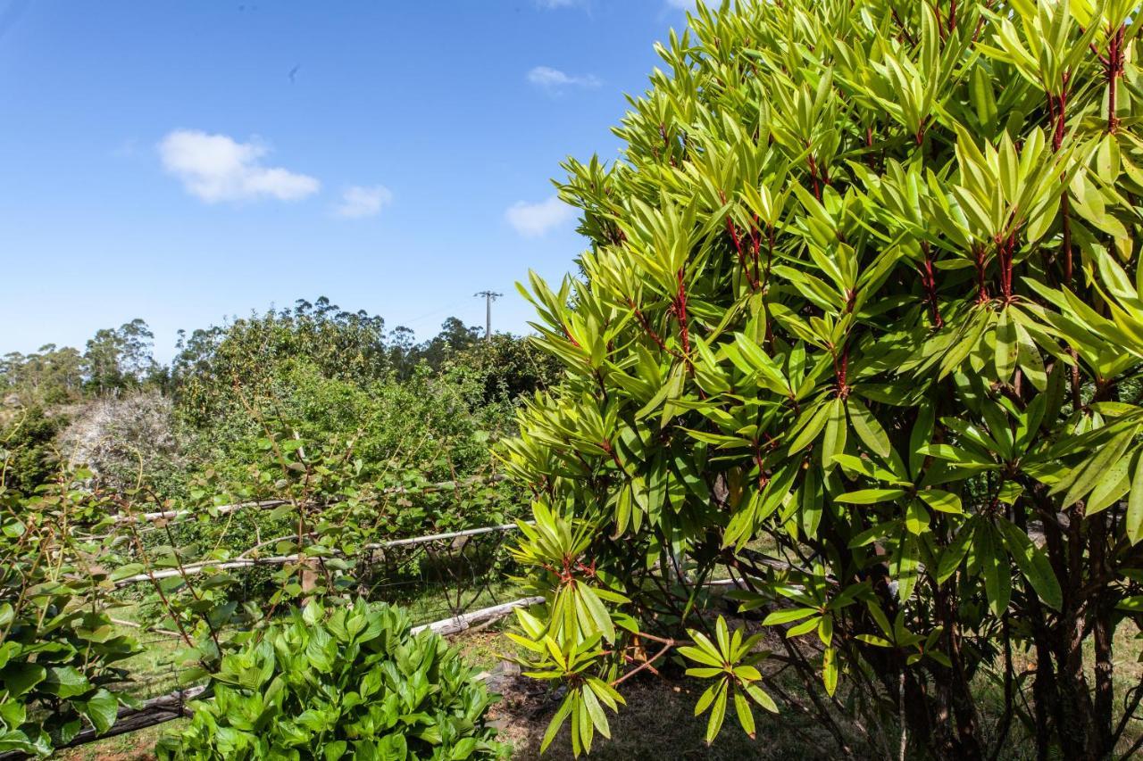Chalet Pico Das Pedras サンタナ エクステリア 写真